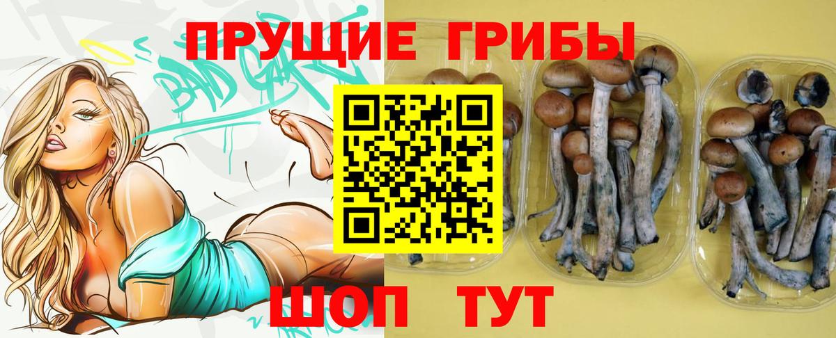 Галлюциногенные грибы Magic Shrooms  Вход с VPN  Великий Устюг 