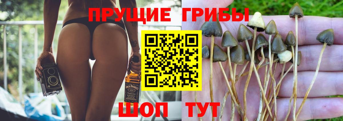 Псилоцибиновые грибы MAGIC MUSHROOMS Великий Устюг